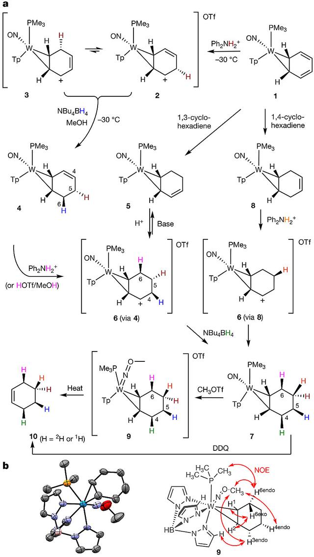meoh是什么化学试剂，etoh是什么化学试剂（Nature：“钨”中生有）