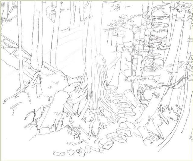 马克笔绘画教程风景画，马克笔绘画教程入门（适合初学者学习的彩铅风景画步骤教程）