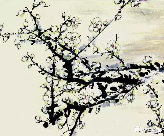 梅花13怎么手绘画，教梅花13怎么画（国画入门教程——梅花的画法）