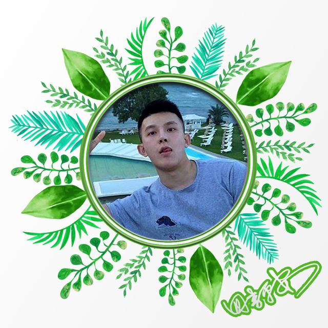 微信背景图绿色，绿色背景图头像（20张绿色叶子主题）