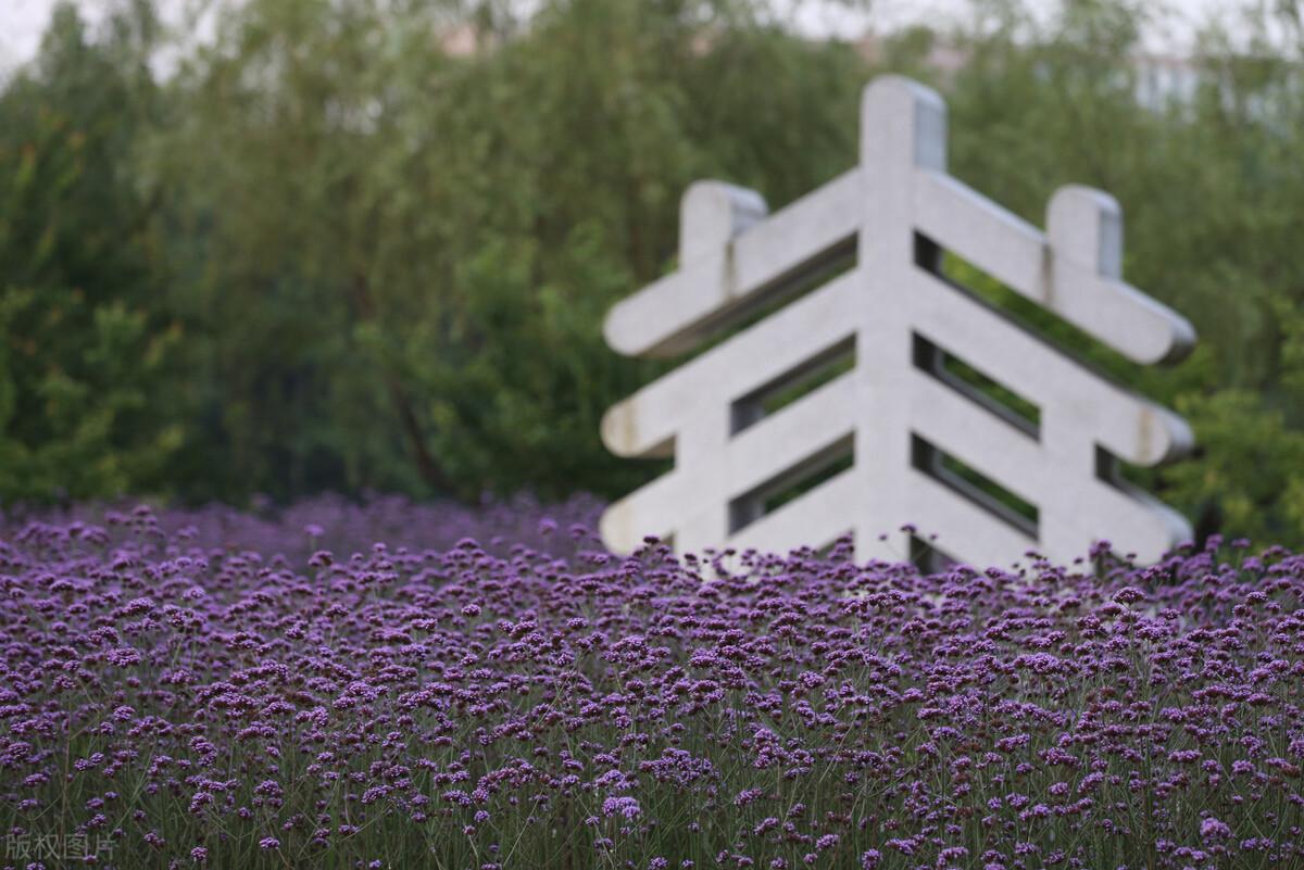 河南考研学校排名（考研211届）