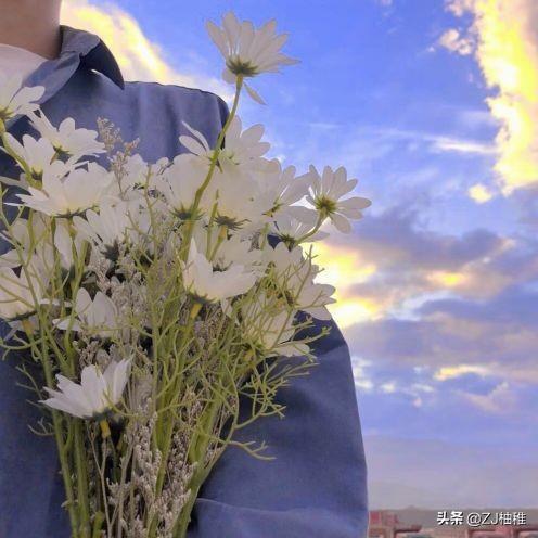 女生的小雏菊长什么样，小雏菊 微信（今日头像 小雏菊男生系列）