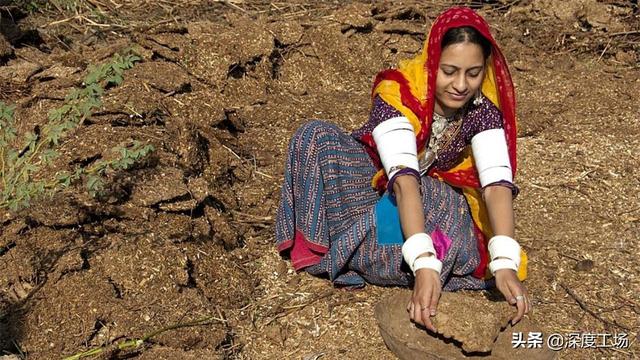 牛粪有的是美文，关于牛粪的诗词（好消息是牛粪多的是）