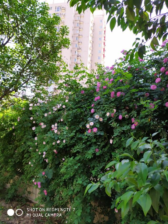 书信的格式怎么写，书信格式怎么写（书信的书写格式）