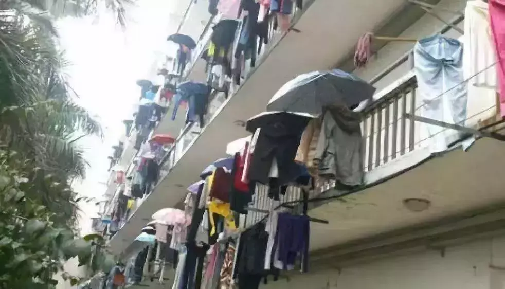 海南人怎么样(为什么感觉海南人好像很穷)