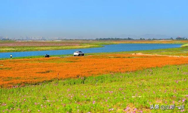 浮沱河在什么地方，滹沱河游玩攻略（——石家庄的母亲河）