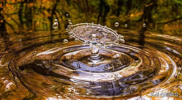 比较实用的生活常识，万能生活小常识，家家用得着