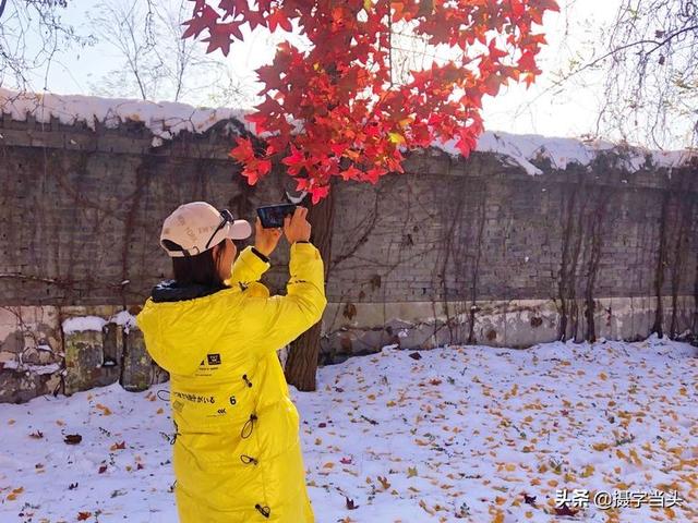 情侣唯美雪景图片，情侣唯美雪景图片真实（冬日初雪印象：一半冬雪）