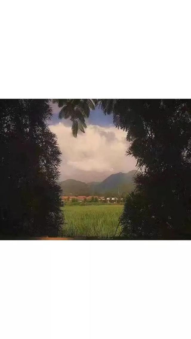 动漫帅哥美女图片，帅哥美女杂图（图王鲨鱼哥第33期33套微信头像加背景图）