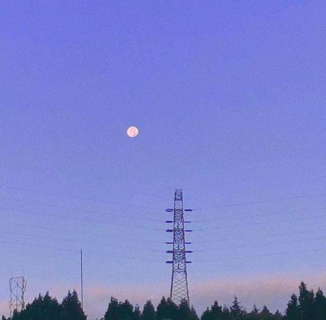 走心推荐语，走心的推荐语（特别走心的朋友圈文案）