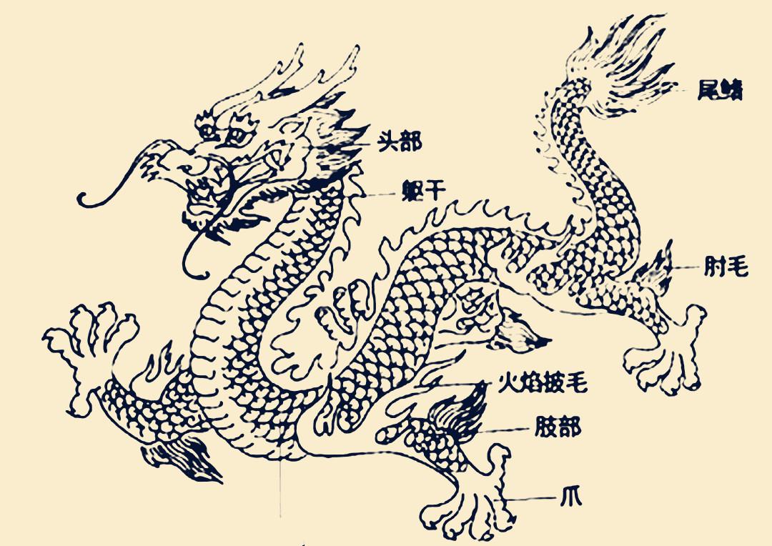 世界上有龙的存在吗，世界上有龙吗（地球上最像龙的生物是什么）
