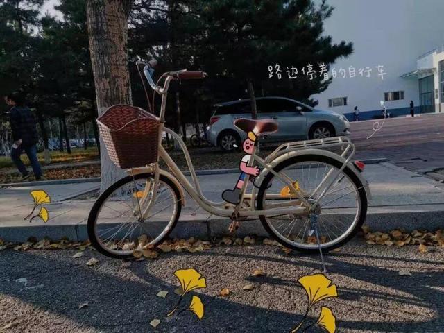 吉林师大博达学院，2021吉林师范大学博达学院排名（<五>吉林师范大学博达学院）