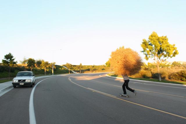 风滚草在中国叫什么，风滚草图片在中国叫什么（风滚草镇）