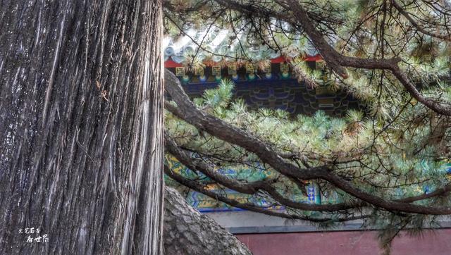 普陀山求什么最灵验，普陀山三年讲究（北京香火最旺的皇家寺庙）