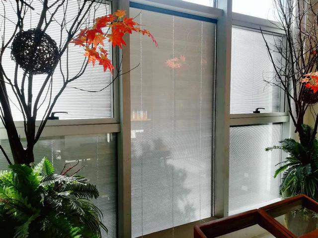 玻璃百叶窗有什么特点 如何安装玻璃百叶窗，玻璃百叶窗有什么特点（反倒隔音遮阳效果更好了）