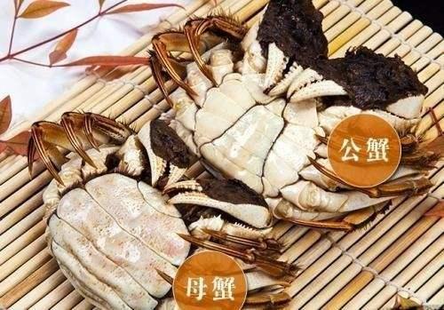 螃蟹怎么挑选，螃蟹怎么挑选才好（否则空壳还白花钱）