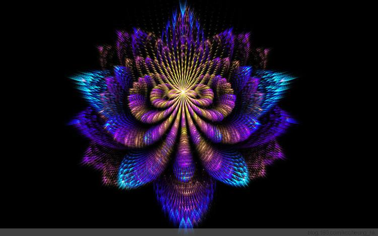 分形艺术照的特点，艺术照分什么风格（分形艺术插图，美！）