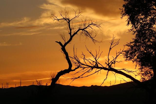 黄昏的唯美句子，黄昏双镖客（夕阳西下的唯美句子）
