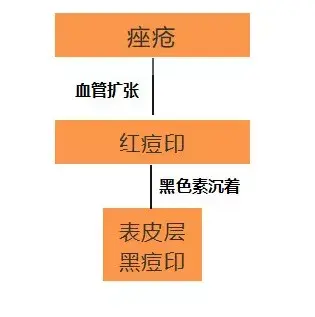 什么能祛痘和痘印，用什么可以祛痘祛痘印（红痘印黑痘印一年也去不掉）