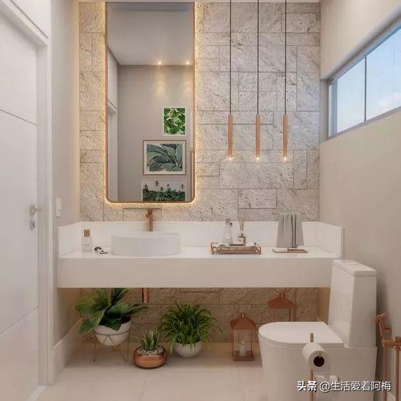 霸王芋，卫生间潮湿、发霉、不通风（霸王芋的养殖方法和注意事项）