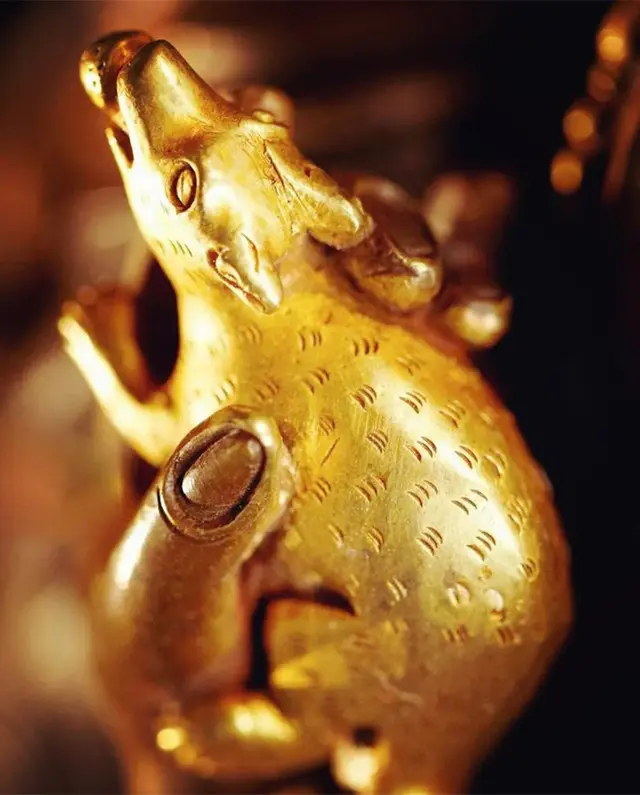 土拔鼠是什么意思，地鼠是鼠类吗（藏族人和老鼠的不解情缘）