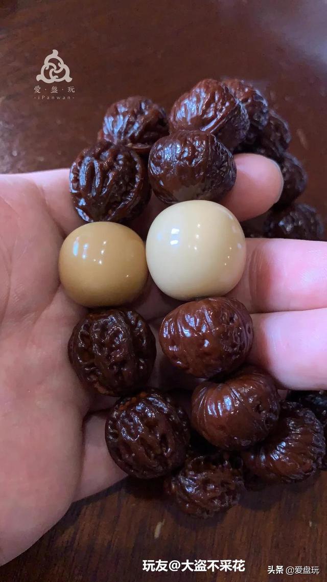 象牙果是什么东西，象牙果是什么东西（真的入手生润）