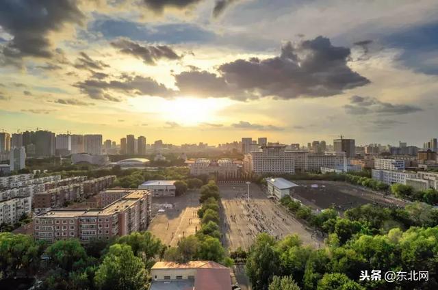 东北林业大学林学院,东北林业大学林学院的专业介绍(哈尔滨这四所高校实力爆表) 东北林业大学林学院,东北林业大学林学院的专业介绍(哈尔滨这四所高校实力爆表)