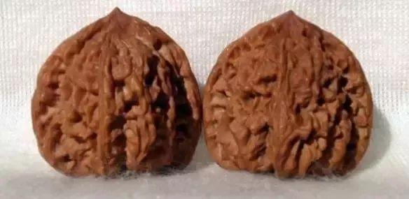 狮子头核桃种类分类有哪些（文玩核桃狮子头大全）