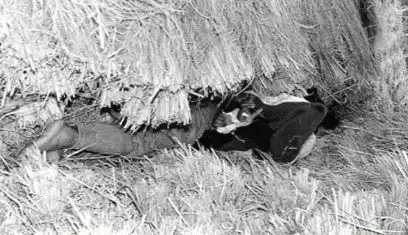 杀人回忆凶手是谁，《杀人回忆》凶手是谁（《杀人回忆》的凶手终于被找到了）