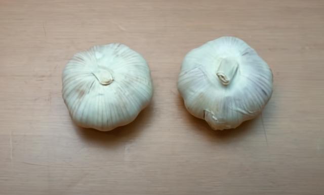 简易抓壁虎的方法，让壁虎们自己搬家