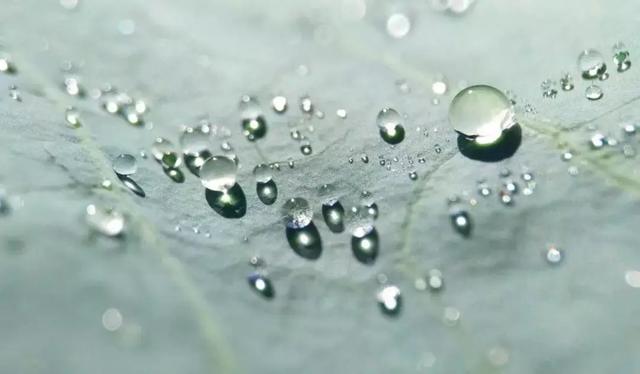 空庭得秋长漫漫寒露入暮愁衣单什么意思，秋来寂寞空满庭（寒露：露寒凝霜，已至深秋）