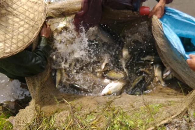 干饭是什么意思，网络词干饭是什么意思（中国干饭地图：天南海北）