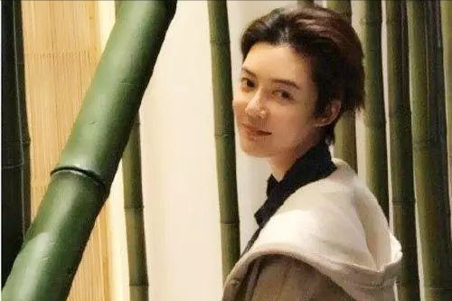 车晓的电视剧全部，车晓的电视剧全部排行榜（因前夫破产豪门往事再被提）