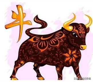 明年什么年属什么生肖，明年是什么生肖（2021年是辛丑年）