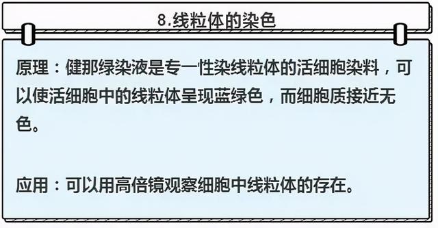 醋酸洋红染色活细胞图片