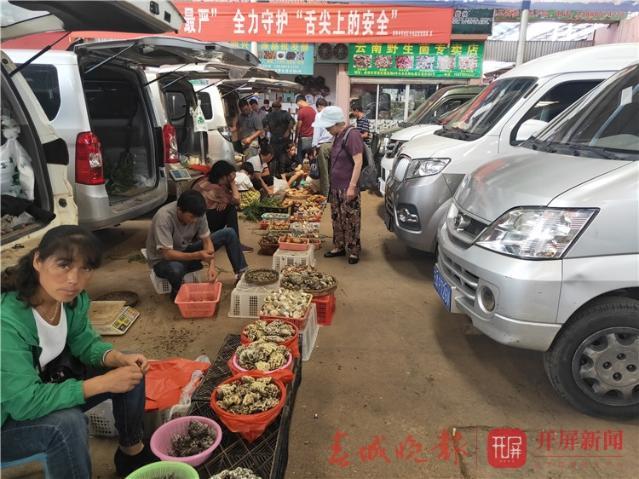 牛肝菌冷冻保存方法，牛肝菌冷冻保存方法图解（野生菌即将“退隐江湖”）