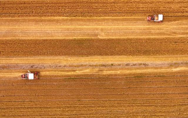 冬至饺子夏至面下一句是什么，冬至饺子夏至面完整句子是什么（今日夏至，向阳而立，拥抱缤纷）