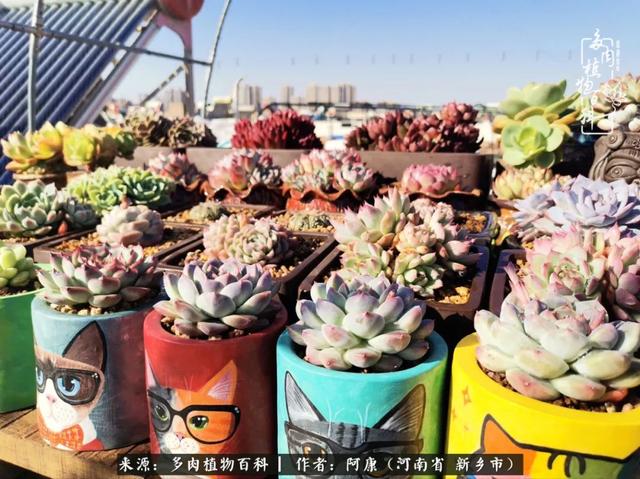 2021九·一八事变是多少周年，2021年是九一八事变的几周年（献给2021最好的春天）