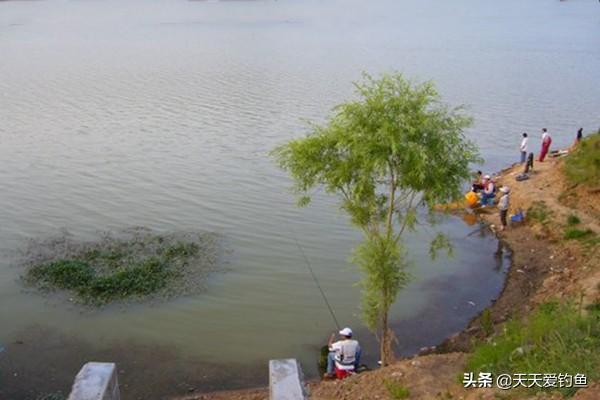 野钓最佳钓点，野钓的几种绝佳钓点