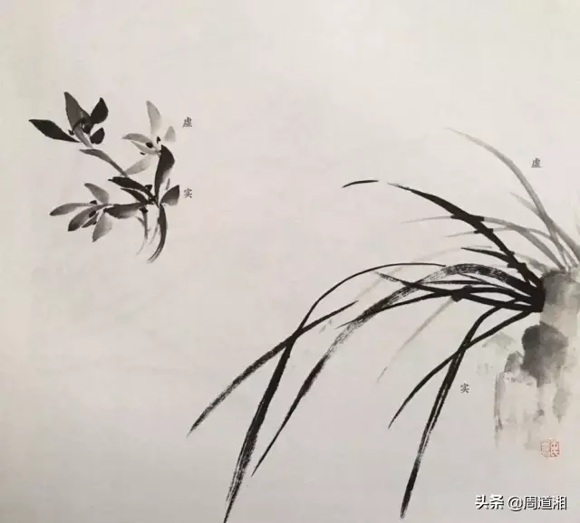 草的简笔画怎么画，猪笼草的简笔画怎么画（兰草的画法）