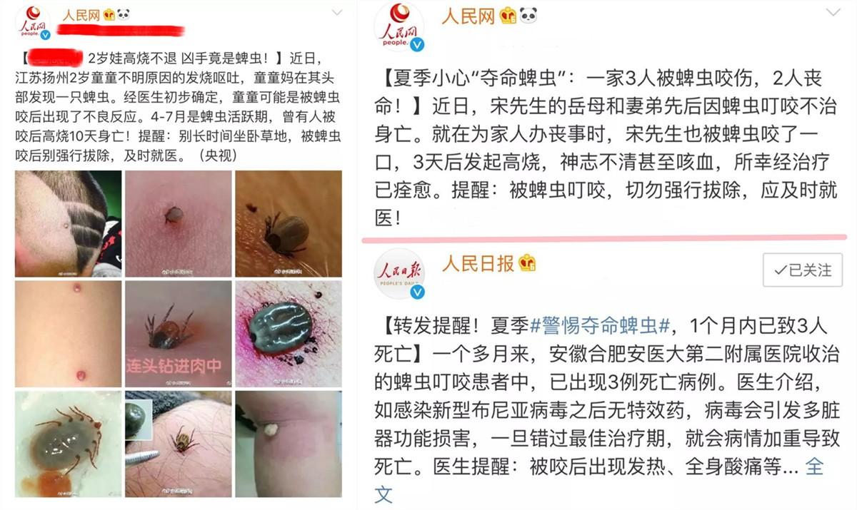 宝宝被螨虫咬的图片，宝宝为什么容易被螨虫叮咬（2岁孩子被蜱虫咬差点出事）