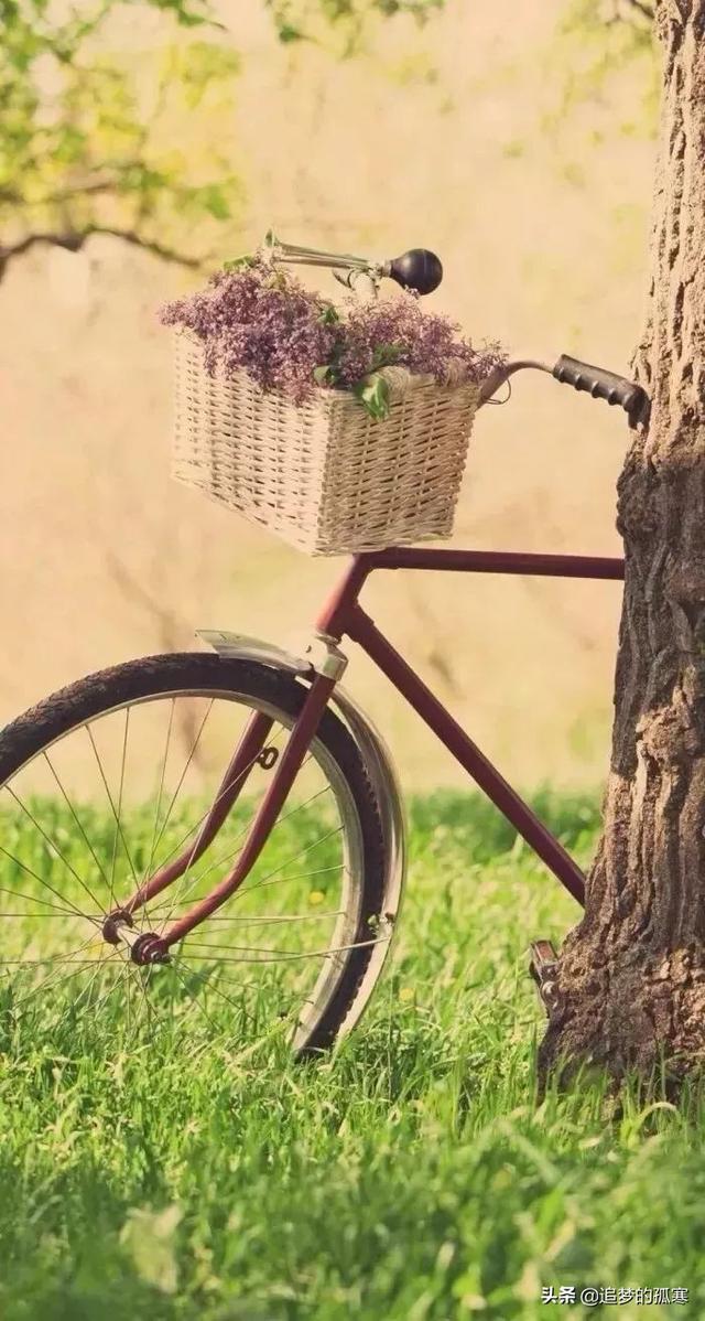 有些关系 渐行渐远  慢慢习惯  一个人很好 ，渐行渐远图片（要习惯任何人的忽冷忽热）