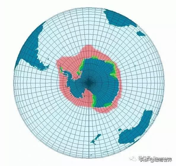 企鹅都有哪几种分别生活在哪里呢，企鹅都有哪些（详解世界上的18种企鹅<一>）