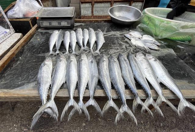 辽宁最穷十大城市排名，辽宁最穷的五个市（本溪、铁岭、阜新谁能在2019翻盘呢）