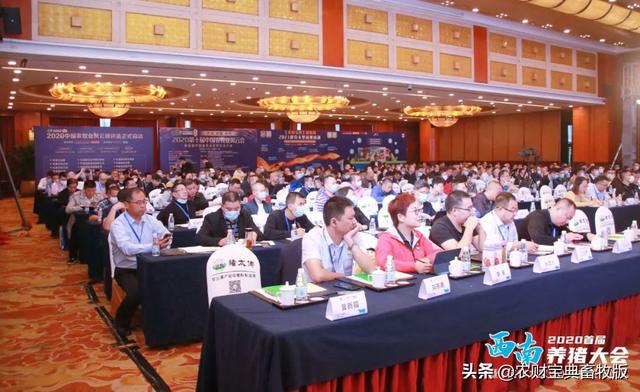 牛至精油的功效与用法，牛至精油的功效与用法以及价格（植物精油杀菌效果显著）