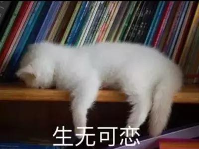 乌丝檀木属于什么档次，乌丝檀木与胡桃木哪个更高档（其实来这一个地方就够了）