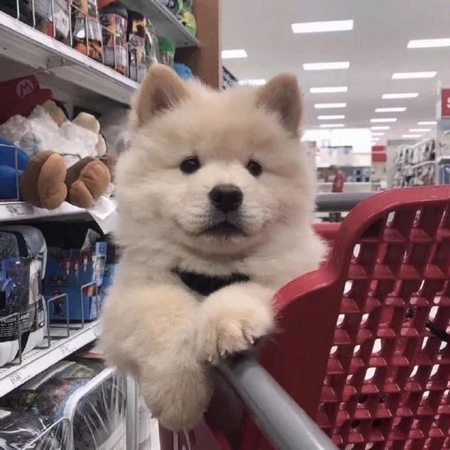 古诗情侣名,冷门古诗情侣名(如何用一句诗来官宣恋情) 古诗情侣名,冷门古诗情侣名(如何用一句诗来官宣恋情)