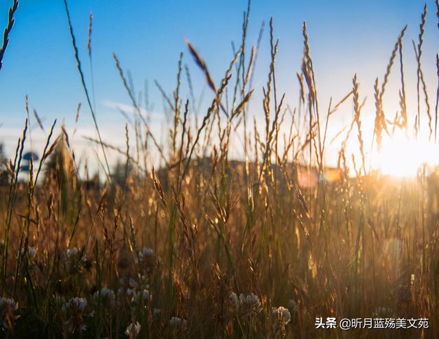 关于陪你到老的浪漫句子，陪你到老的情话短句（时光安暖，我想陪你到老）