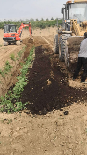 苹果苗怎么栽培，苹果树苗怎么栽（山地苹果短枝型品种密植栽培技术应用结果性状稳定）