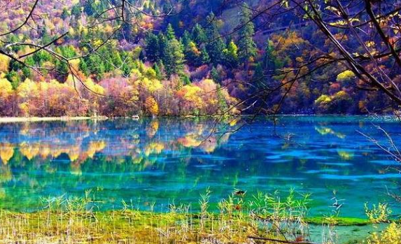 形容九寨沟美景的句子，九寨沟美景怎么形容（说走就走----记九寨沟）